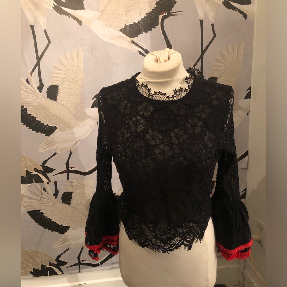 Alpha & omega flamenco lacy gorgeous feminine top